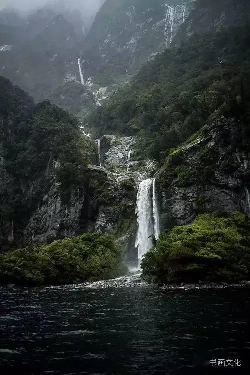 泰迪狗狗哭闹会使家庭不顺利吗?游戏画面